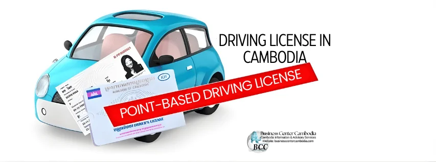 point-based driving license system